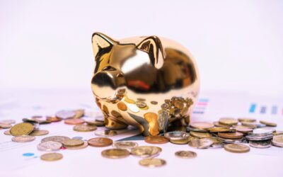 How to Build a Strong Emergency Fund for Your Business