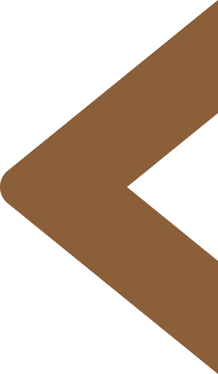 A large, brown, left-pointing chevron shape on a plain white background.
